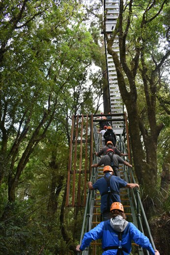 And here we had to climb six (6!!) flights of stairs to get from one zipline to the next. Whew, what a workout!