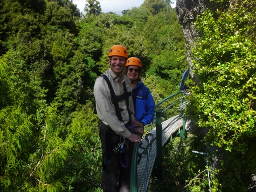 We take a moment to enjoy the view from a treetop catwalk between ziplines.