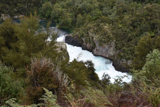 Now we move to the lower portion of the ravine, where water is gushing over the rocks to create bubbly rapids.