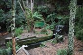 We left the dam to see if we could find a water wheel near Kinloch (on the west side of Lake Taupo). Sadly, we did find it ... and it was pretty disappointing to say the least.: by taylortreks, Views[334]