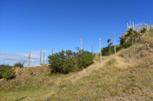Numerous Maori totems dot the reserve, which marks a 'pa' (defensible hill fort).