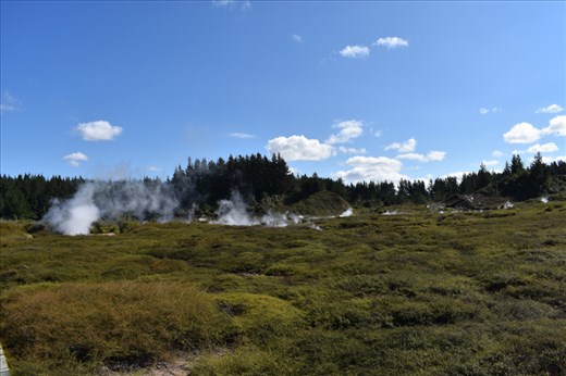 Here's a ground level view of the reserve looking north up the thermal valley.