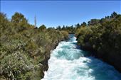 From a short bridge spanning the channel for the 'falls,' you can look upriver back towards Lake Taupo.: by taylortreks, Views[350]