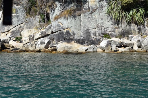With the sailboat's shallow draft and silent propulsion, we could get a close-up view of seals sunning themselves on the rocks of Adele Island.