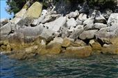 And here a more sunbathing seals on Adele Island.: by taylortreks, Views[283]