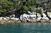 Wind and waves scoured exotic hollows in the seaside rocks on Adele Island.: by taylortreks, Views[333]