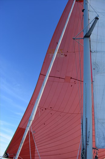 And we had just enough breeze to raise the sails (without chilling us too much!).