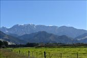The inner Kaikouira Range, which sits off the coast, keeps its snowy cap all year.: by taylortreks, Views[329]