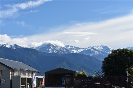 Mid-morning clouds snuggled into the nearby coastal range peaks. What a great view from the whale watch car park!