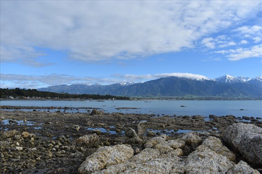 The mountains are RIGHT next to the town of Kaikoura!