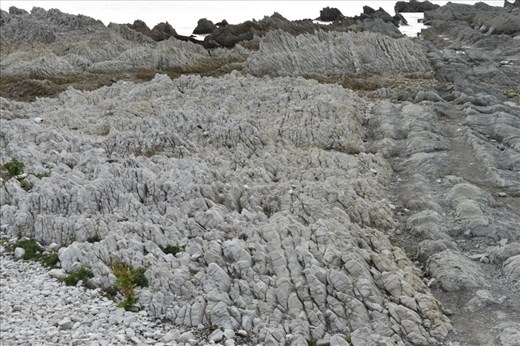 There were even more fascinating in a close-up view.