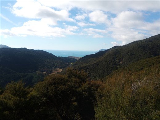 Wonderful views down the valley to Nelson Bay.