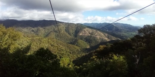 Here's the zipline -- it goes down one side of the valley and halway up the opposite ridge.