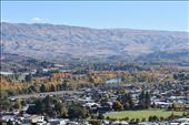 Autumn is a GREAT time to visit the Otago region on the South Island.: by taylortreks, Views[334]