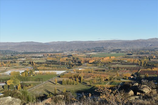 Orchards and vineyards dot the valley between Clyde and Alexandra.
