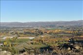 Orchards and vineyards dot the valley between Clyde and Alexandra.: by taylortreks, Views[308]