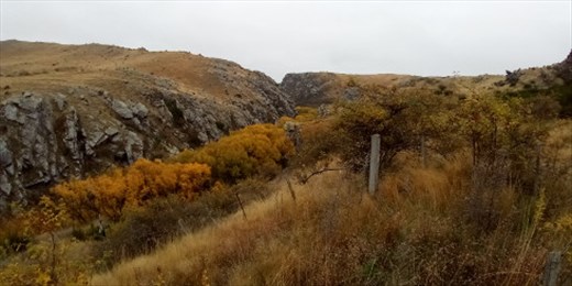 There were plenty of colorful trees to mark the running water in the burn.
