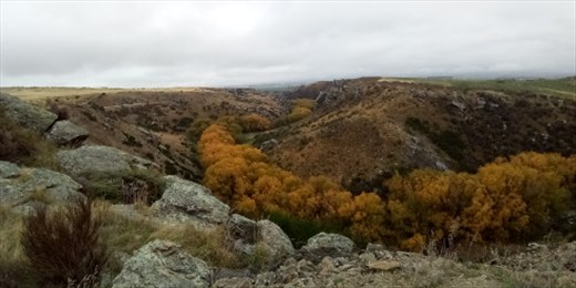 Downriver, the land flattened out into rolling plains and fields.