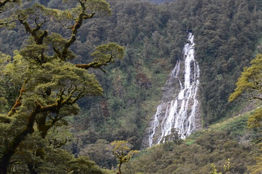Here, the waterfall follows the path cleared by a 'treevalance.'