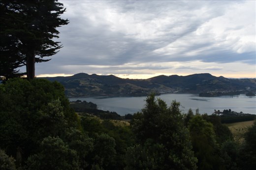 But your reward is a panoramic view across Dunedin Harbour.