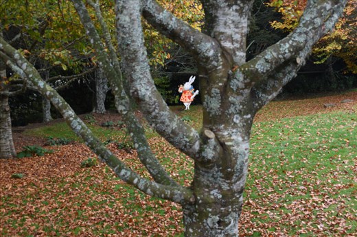 Several Alice in Wonderland characters greet you in the garden.
