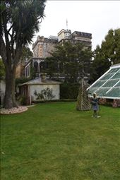 Here's Alice herself awaiting by the greenhouses.: by taylortreks, Views[332]