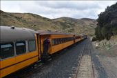 We met a special train (carrying participants in a breast cancer awareness hike?) that was returning to Dunedin.: by taylortreks, Views[226]