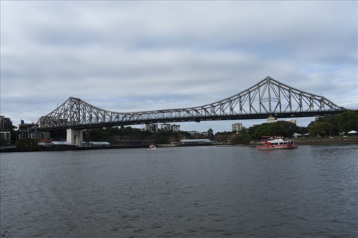 We took a cruise on one of the many river taxis that were run by the Brisbane Transport Authority. Here, we had a nice panoramic view of the historic Brisbane Bridge.