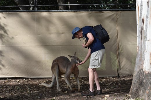 Later, Kent fed his (much) larger cousin. 