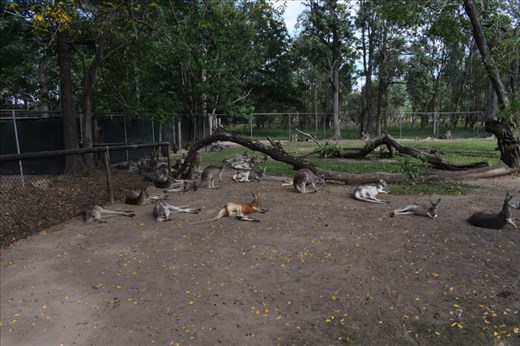 Ahhhhh! A full belly and shade from the sun. Life is GOOD!
