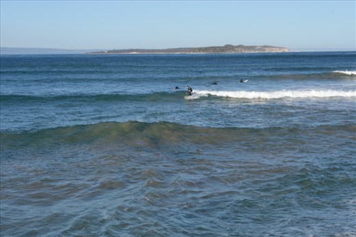 Several surfers took advantage of the nice waves (and sunshine!) at Port Lonsdale.