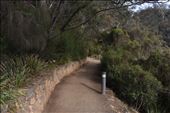 Trees and shrubs grew profusely, attesting to the rainy climate in this part of northern Tasmania.: by taylortreks, Views[245]