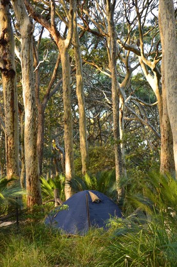 Bush camping by the sea. 
I love the city life, i love keeping busy, i love doing different things... but... sometimes life, the real world, just gets too much, and you just need to escape!  

Life was getting way too busy, screwing me around in every direction, starting to make me sick.  With lack of money, I found and bought a free camping directory.  I thought - I have a few days free with nothing to do, time to get back to an old love - camping in nature!  

Why not go bush and try free camping, away from all modern technology, and live the old fashioned way for a few days! 

 I chose to go to the free camp not far outside of Batemans Bay, NSW.  It was beautiful, even more so with only 1 or 2 neighbours, who were clean a quiet, no loud noise, and the the mobile phone switched off, so no distractions!  

The campsite was part of Batemans Bay Marine Park .