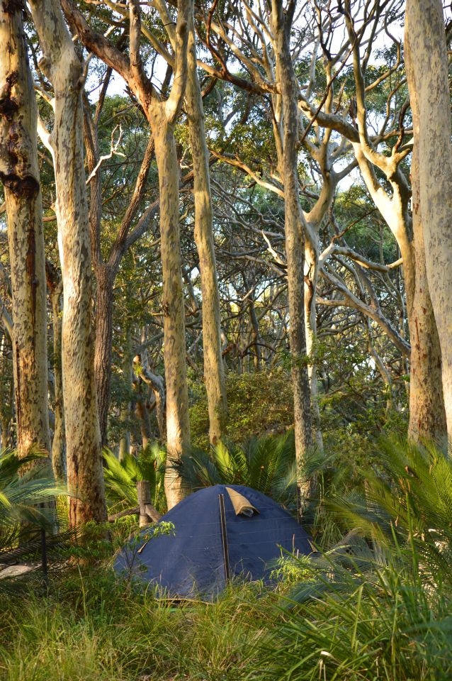 Bush camping by the sea. 
I love the city life, i love keeping busy, i love doing different things... but... sometimes life, the real world, just gets too much, and you just need to escape!  

Life was getting way too busy, screwing me around in every direction, starting to make me sick.  With lack of money, I found and bought a free camping directory.  I thought - I have a few days free with nothing to do, time to get back to an old love - camping in nature!  

Why not go bush and try free camping, away from all modern technology, and live the old fashioned way for a few days! 

 I chose to go to the free camp not far outside of Batemans Bay, NSW.  It was beautiful, even more so with only 1 or 2 neighbours, who were clean a quiet, no loud noise, and the the mobile phone switched off, so no distractions!  

The campsite was part of Batemans Bay Marine Park .
