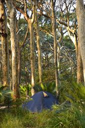 Bush camping by the sea. 
I love the city life, i love keeping busy, i love doing different things... but... sometimes life, the real world, just gets too much, and you just need to escape!  

Life was getting way too busy, screwing me around in every direction, starting to make me sick.  With lack of money, I found and bought a free camping directory.  I thought - I have a few days free with nothing to do, time to get back to an old love - camping in nature!  

Why not go bush and try free camping, away from all modern technology, and live the old fashioned way for a few days! 

 I chose to go to the free camp not far outside of Batemans Bay, NSW.  It was beautiful, even more so with only 1 or 2 neighbours, who were clean a quiet, no loud noise, and the the mobile phone switched off, so no distractions!  

The campsite was part of Batemans Bay Marine Park .: by taz_au, Views[300]