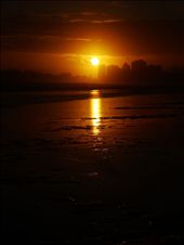 by tazau, Views[167]