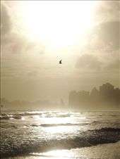 Calm after the storm: by tazau, Views[175]