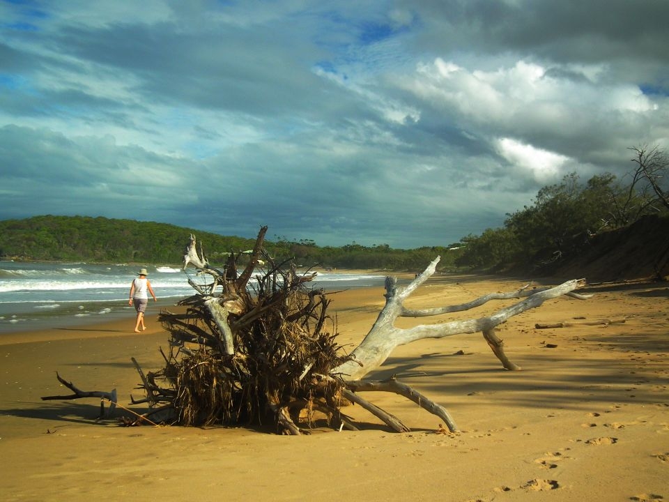 After a long walk out, on the road to 1770, I took a turn and headed towards a quiet beach. I walked back quietly along the ever eroding beach, with trees uprooted all the way along, from the 3 bad storms lasting 4-10 days each, in just 5 - 6 weeks. What a difference a day or 2 makes! It wasn't just here that received 3 long bad batterings, but the majority of the Queensland an NSW east coasts!