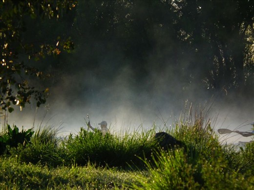 A Winters Morning At Molongolo River