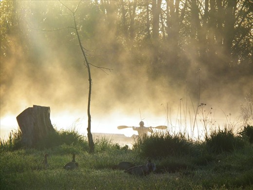 A Winters Morning At Molongolo River - With Kayaker