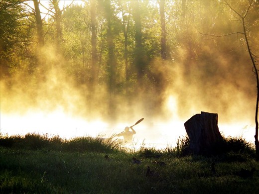 A Winters Morning At Molongolo River