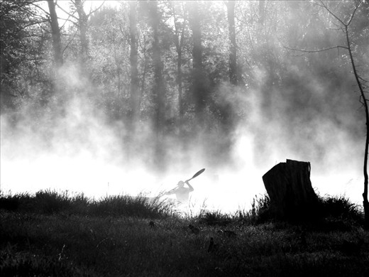 A Winters Morning At Molongolo River - BW