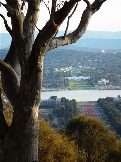 Parliment from Mt Ainslie