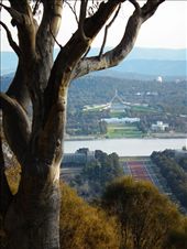 Parliment from Mt Ainslie: by tazau, Views[197]