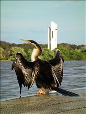 by tazau, Views[168]