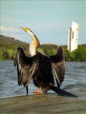 by tazau, Views[164]