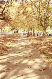 by tazau, Views[200]