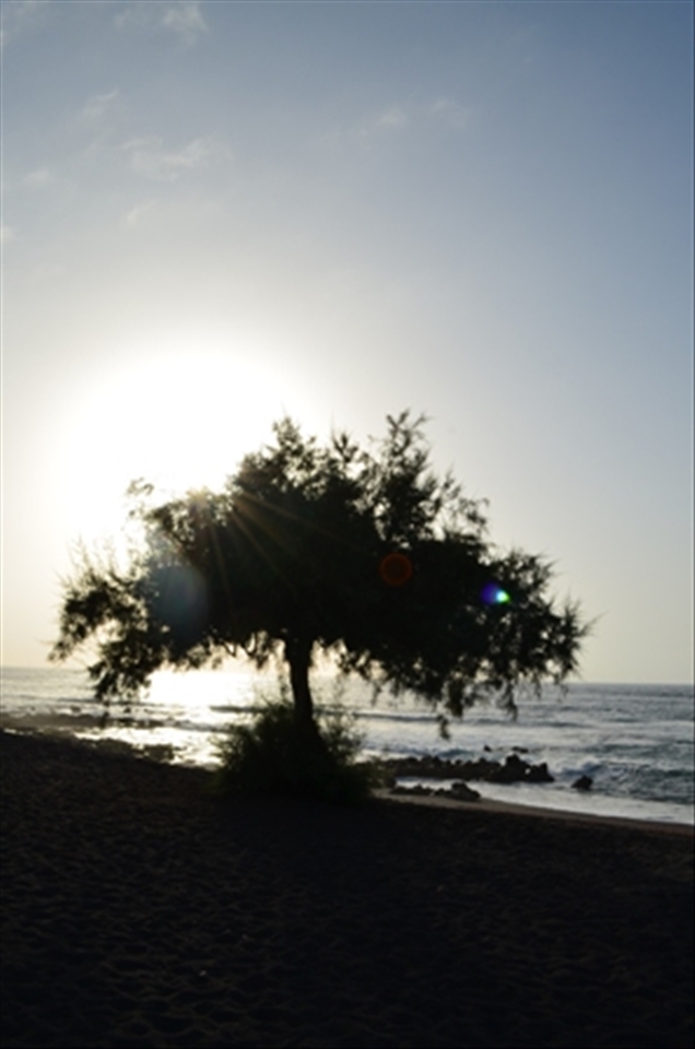 Sunset on the beach.