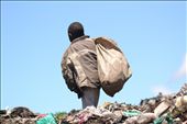 This picture is also at the garbage slum. This picture is of a boy who is on top of a heap of garbage, trying to collect things. The males in the slum were a lot more apposed to having their pictures taken because they did more of the climbing in garbage and searching through everything work. It is powerful to think that a boy has to spend his day looking through trash trying to help his family survive, and seeing it was one of the hardest things i had to do on my trip. : by teddyp, Views[779]