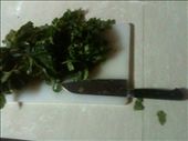 Chopping the spinach finely: by tellmewhatyoueat, Views[332]